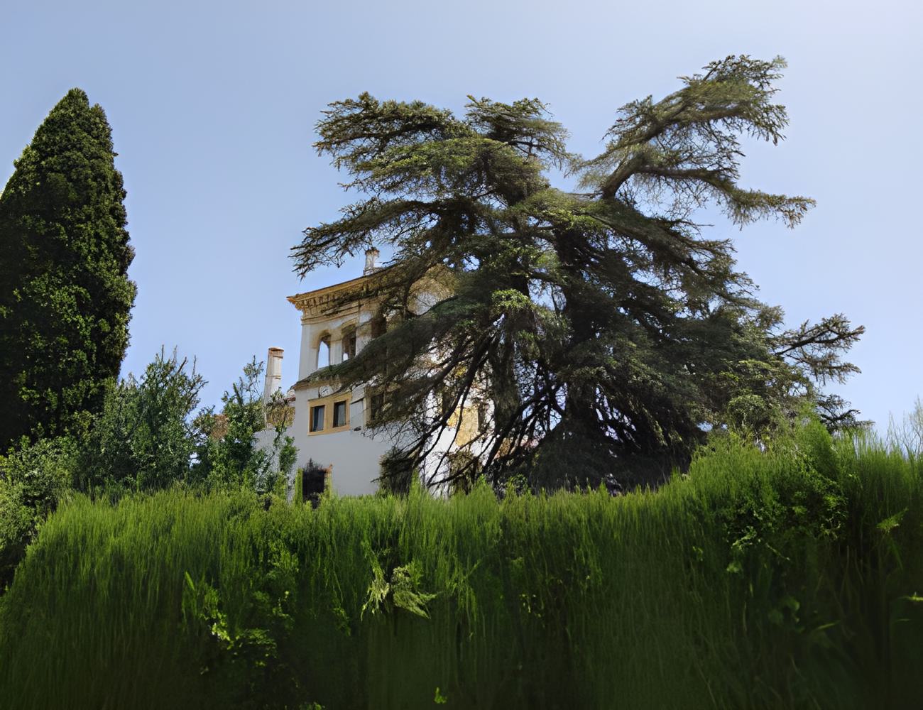 Nassim and Kiana, Seattle, USA family